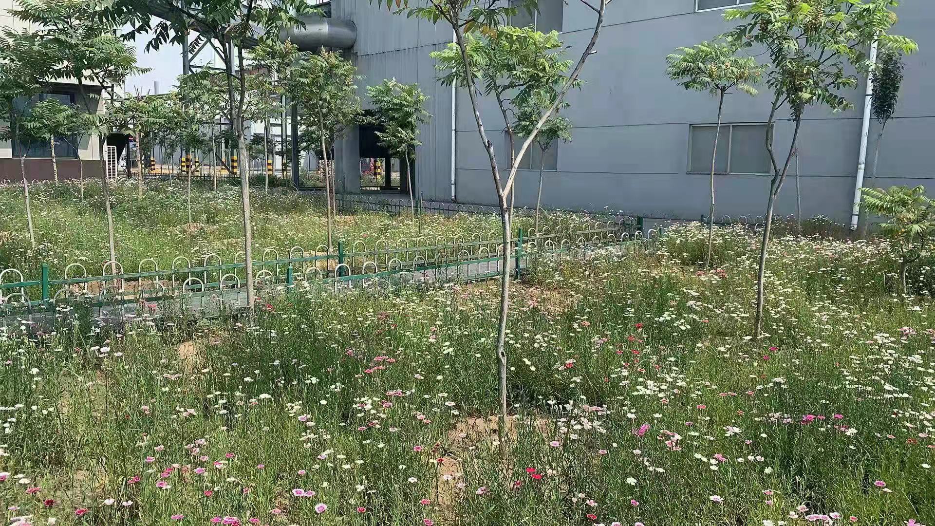 1623755154104971.jpg 1623755154104971.jpg