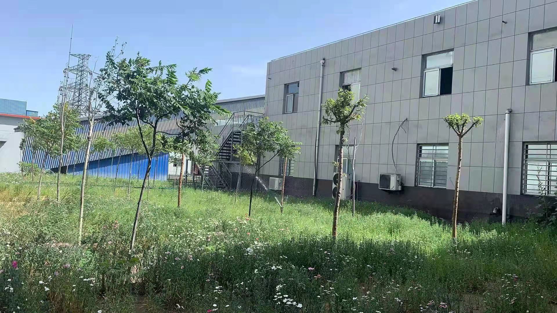 1623755198527053.jpg 1623755198527053.jpg