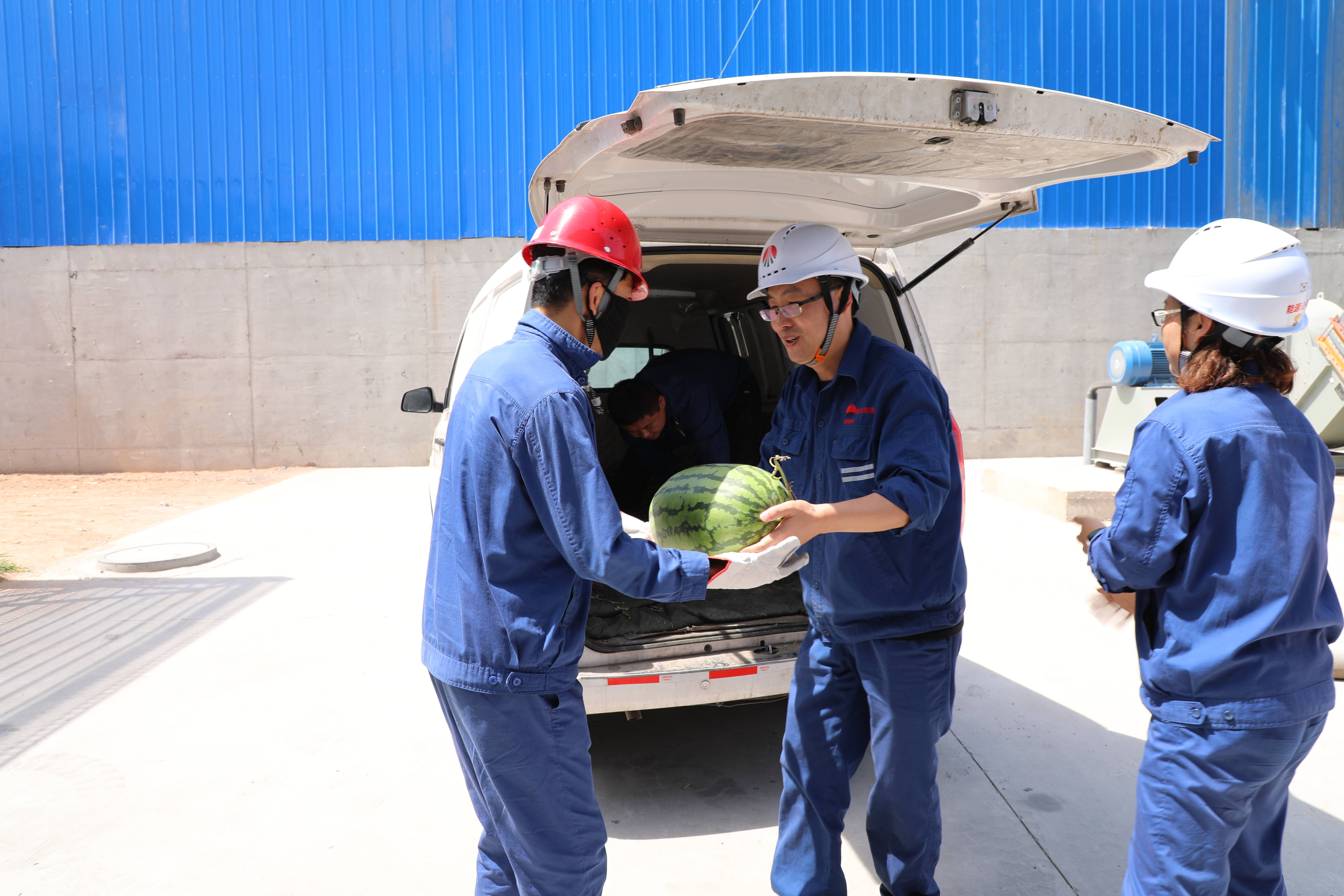 1626657532953283.jpg 1626657532953283.jpg