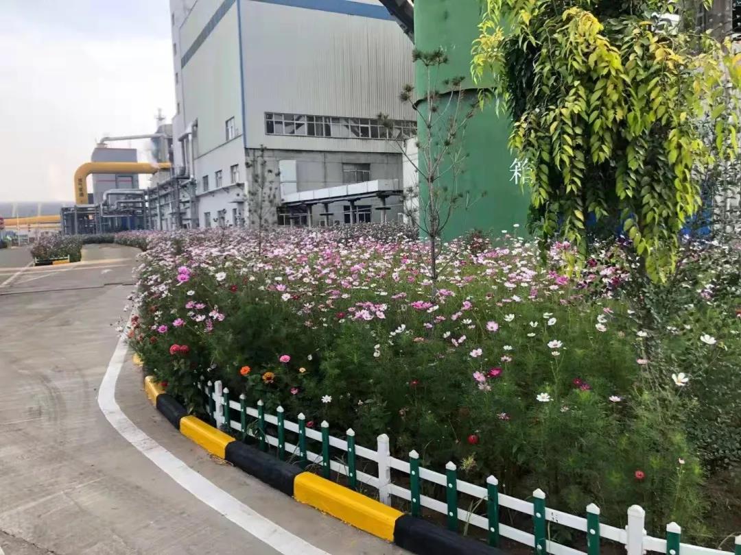 1635388274879784.jpg 微信圖片_20211028102930.jpg