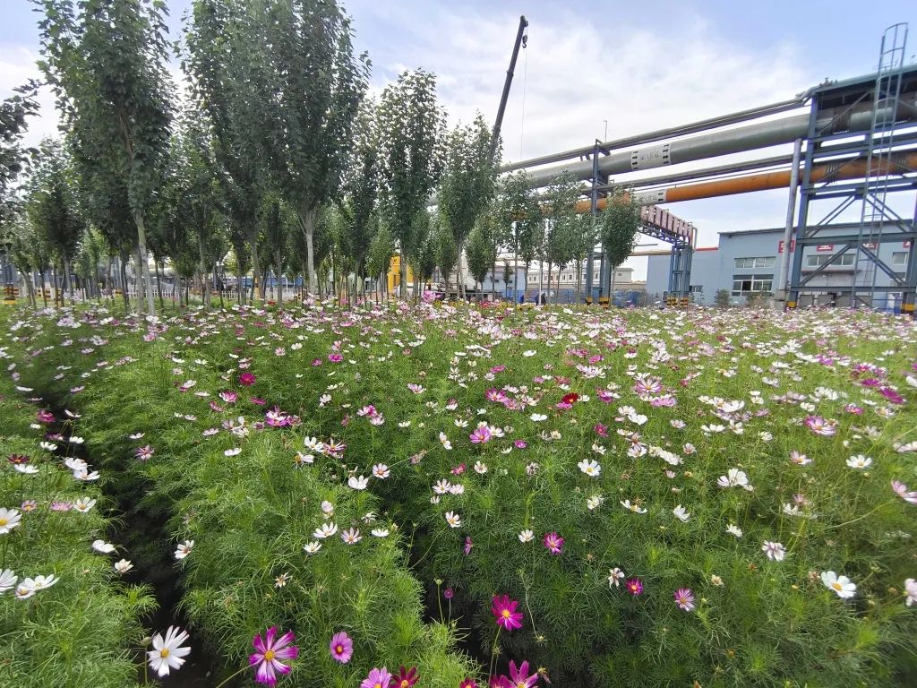 1665459209915402.jpg 微信圖片_20221011113240.jpg