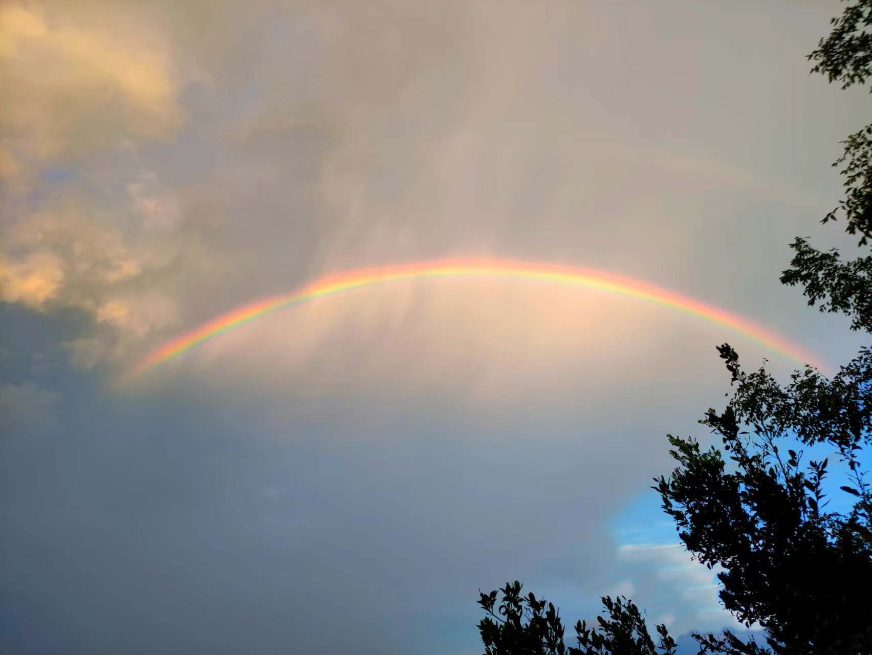 1723084189100199.jpg 微信圖片_20240806170118.jpg