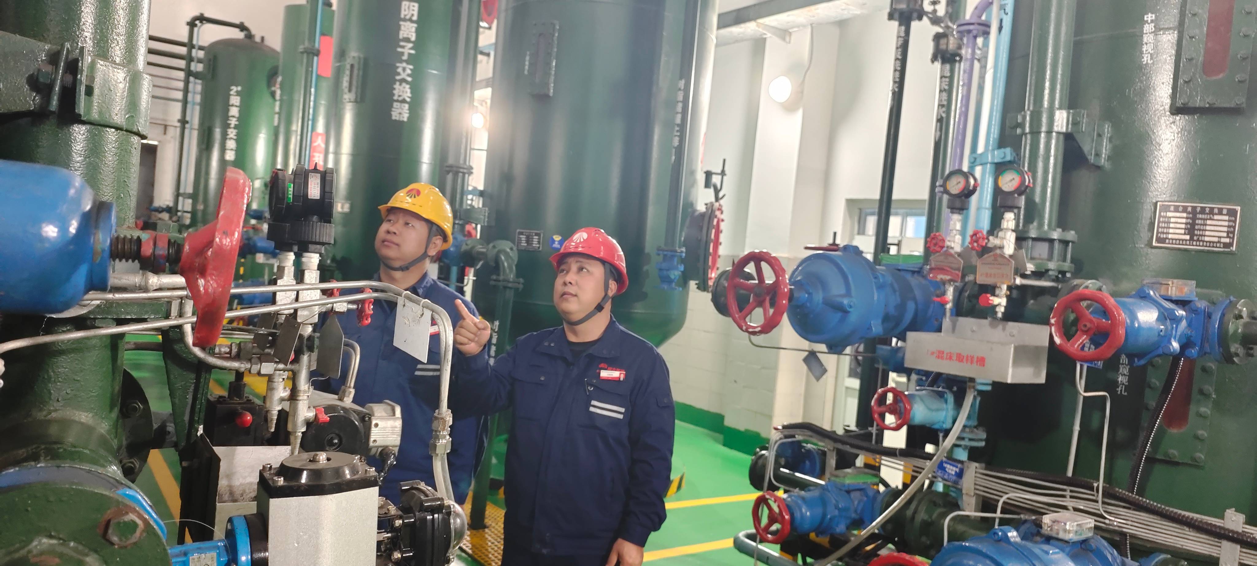 1765412426255737.jpg 1(1).jpg