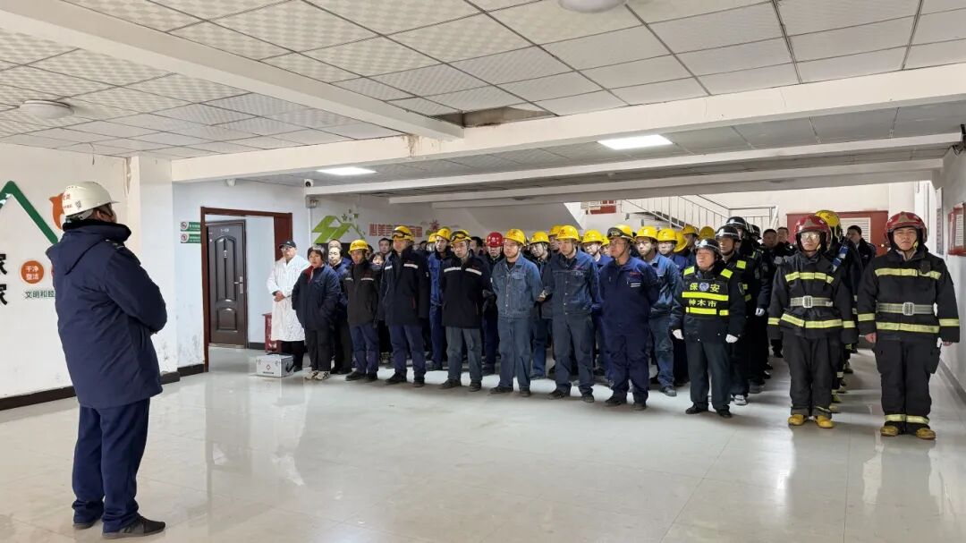 1769040230129783.jpg 2.jpg