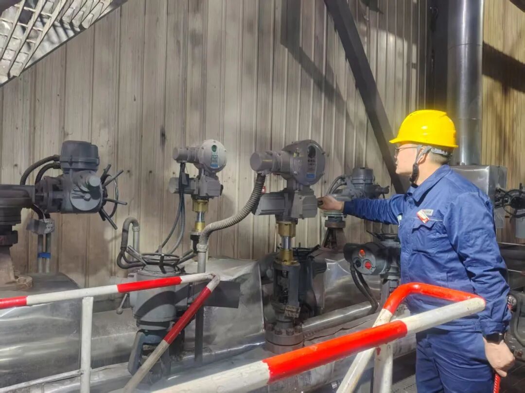 1772064870958920.jpg 3.jpg