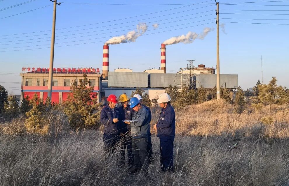 1773294071299931.jpg 640 (5).jpg