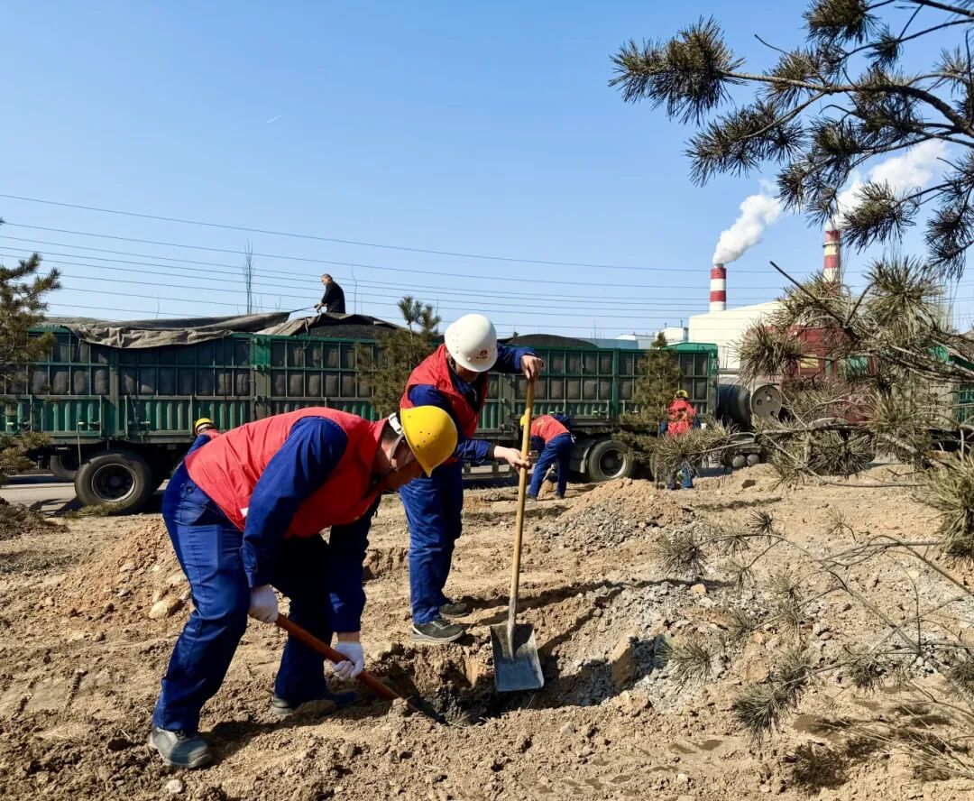 1773294637378937.jpg 640 (10).jpg