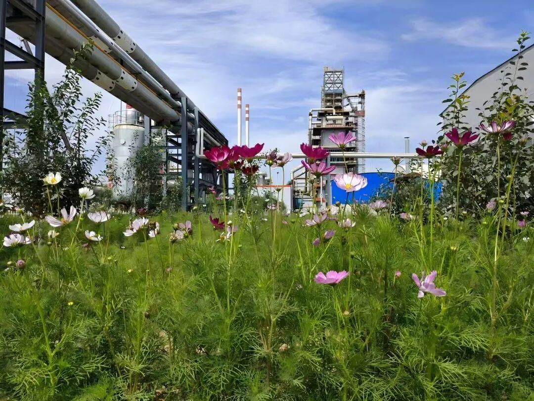 1773878705132589.png 640 (1).png