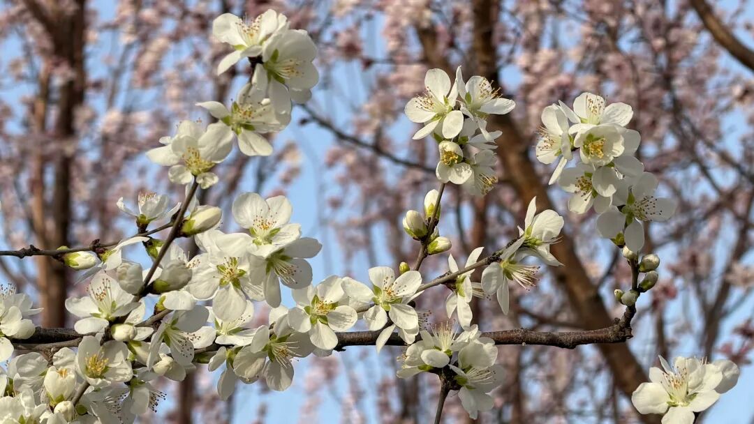 1775606794415730.jpg 640 (1).jpg