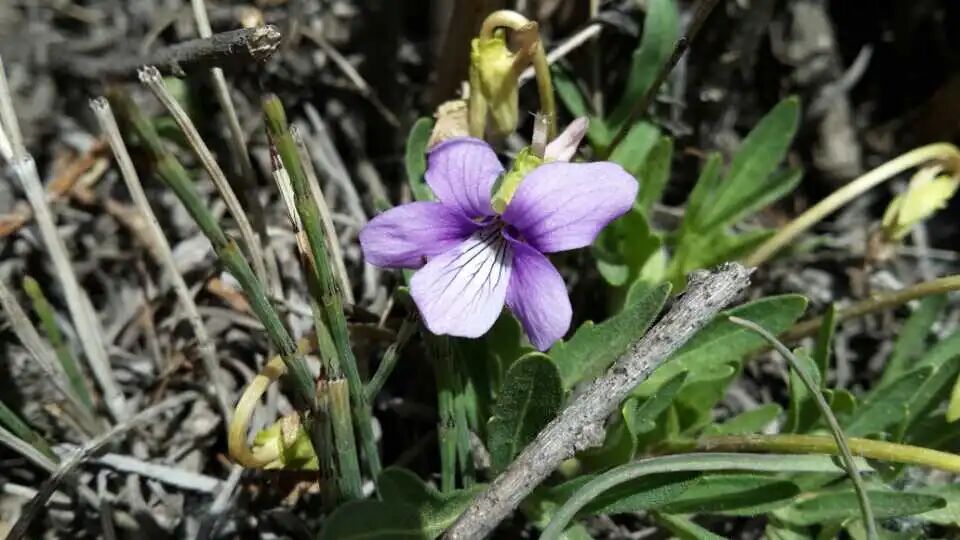 1775606813139960.jpg 640 (2).jpg